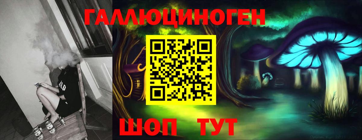 Галлюциногенные грибы Psilocybine cubensis  Вход с VPN  Кизилюрт 